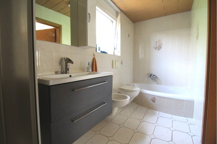 Badezimmer Flachbau Reihenendhaus Trebbichau an der Fuhne