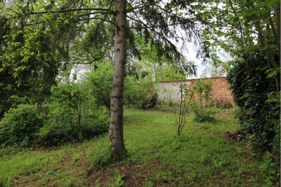 Garten Einfamilienhaus Gro�badegast