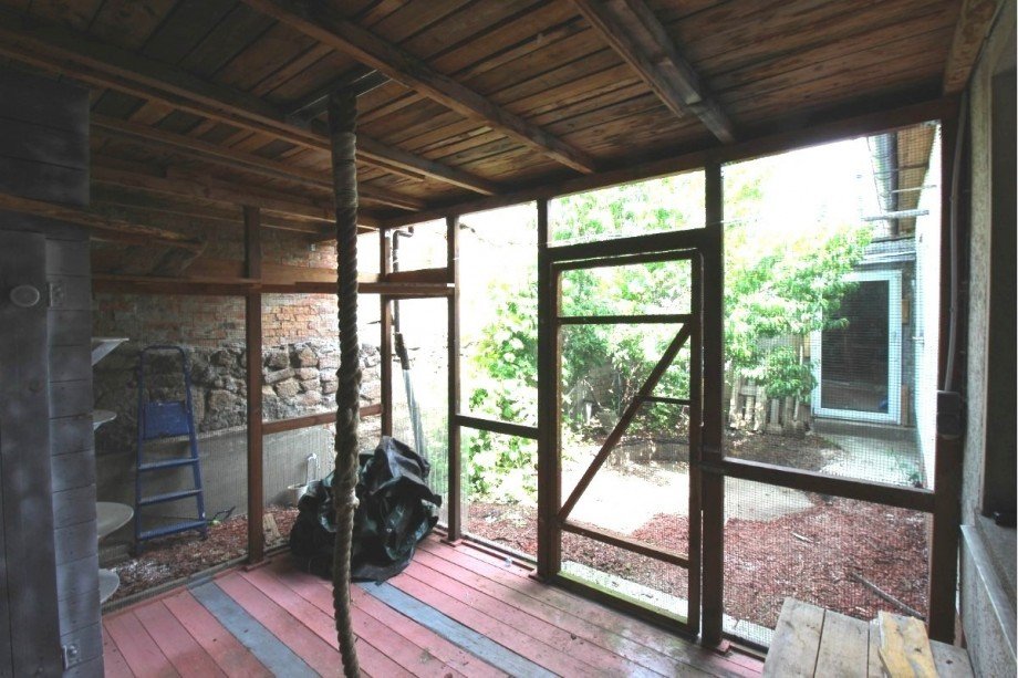 Terrasse als Katzengehege Reihenendhaus Trebbichau an der Fuhne