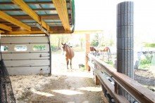 Stallbereich Ohne K�uferprovision! Komplett saniertes Einfamilienhaus mit gro�em Grundst�ck-Pferdehaltung m�glich