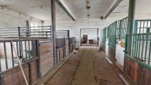 Pferdest�lle Ohne K�uferprovision!!! Imposanter 4-Seiten-Hof sucht neuen Eigent�mer mit Visionen