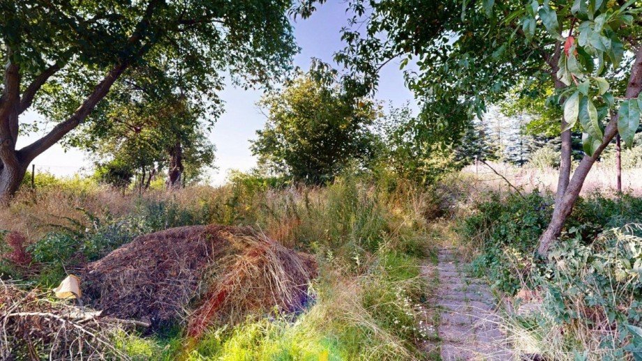 Blick in den Garten Einfamilienhaus S�dliches Anhalt