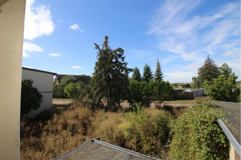 Garten bis zur Stra�e Einfamilienhaus K�then OT Elsdorf