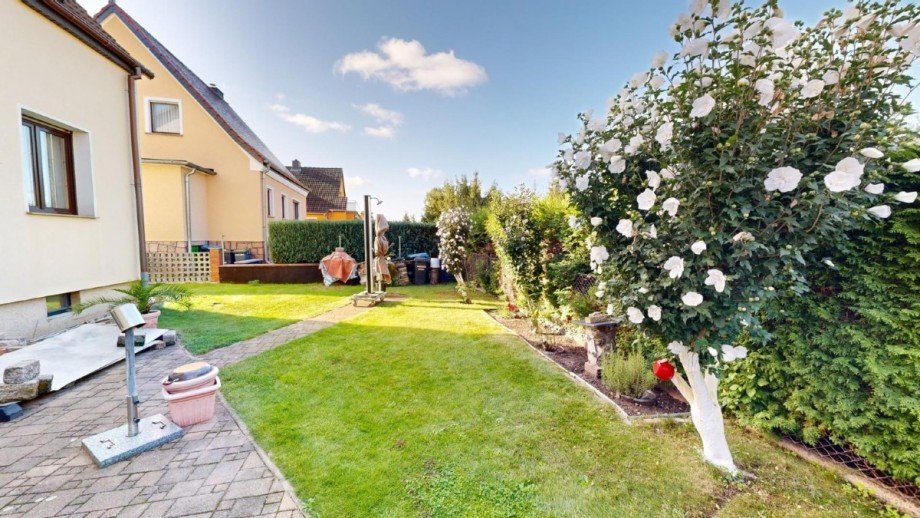 Blick in den Garten Einfamilienhaus Aken