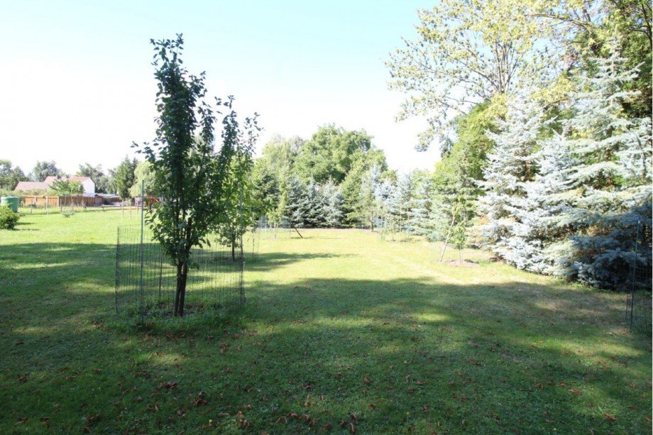 Gartenbereich Mehrfamilienhaus S�dliches Anhalt