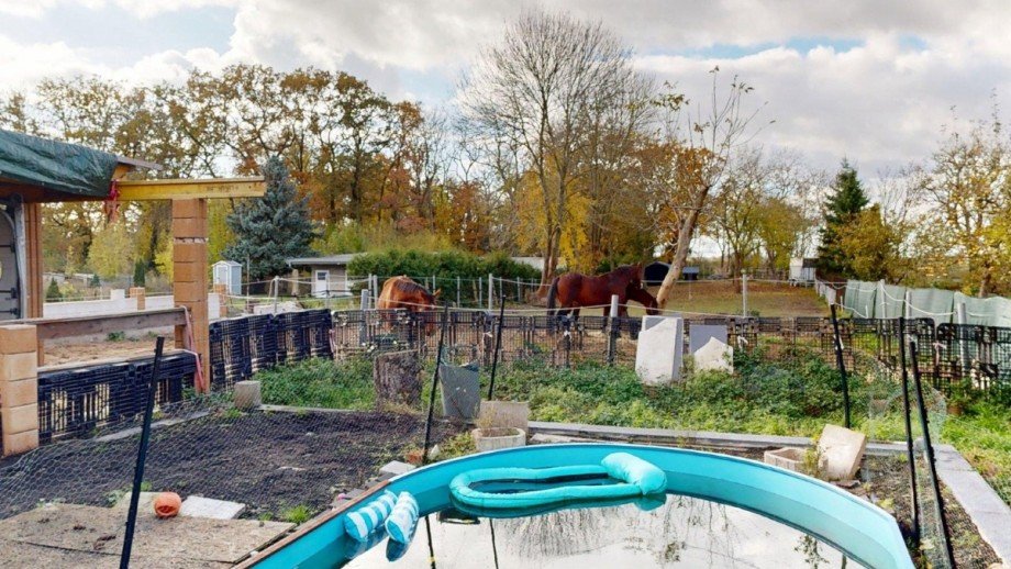 Blick zur Pferdekoppel Einfamilienhaus K�then