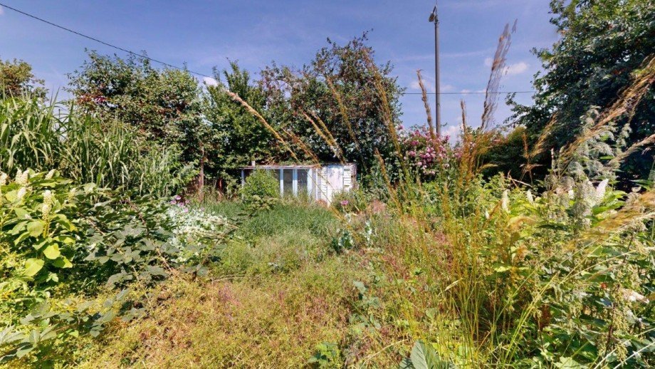 Gartenansicht Einfamilienhaus K�then