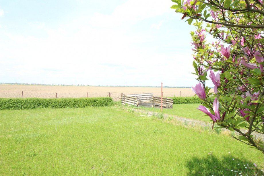 Garten mit unverbautem Ausblick Reihenmittelhaus Hinsdorf
