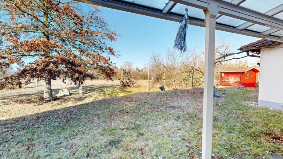 Blick in den Garten Einfamilienhaus Diebzig