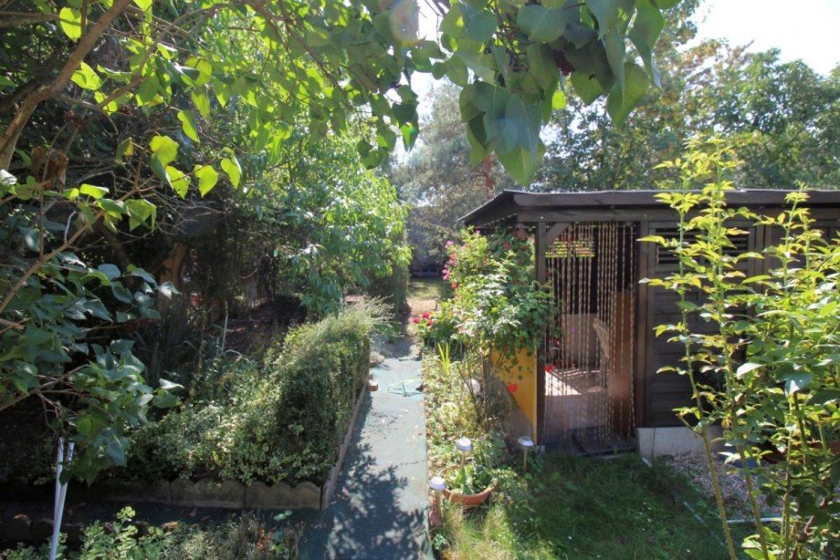 Blick in den Garten Mehrfamilienhaus K�then